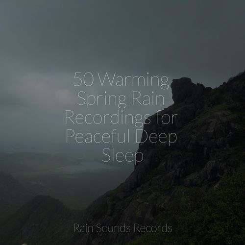 50 Warming Spring Rain Recordings for Peaceful Deep Sleep_poster_image