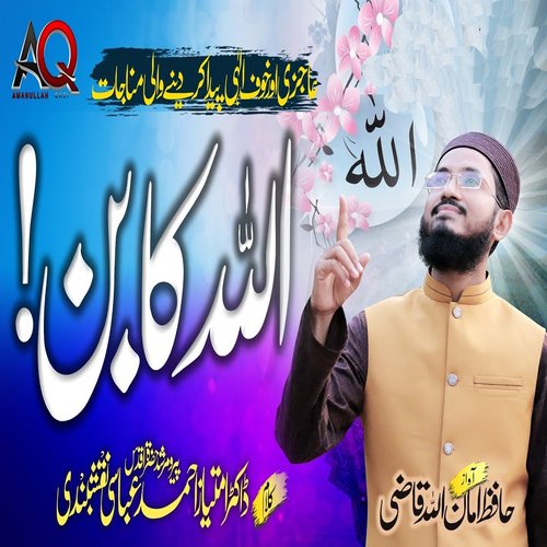 Ibn E Haider