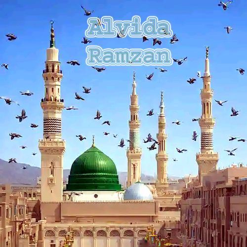 Alvida Ramzan Female