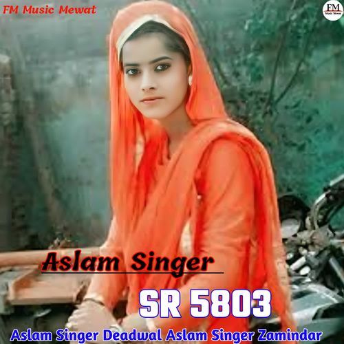 Aslam Singer SR 8503