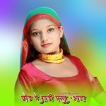 छोड दे गाड़ी घरलू आजा