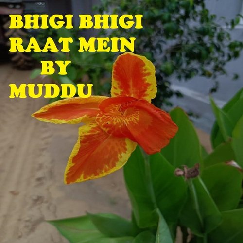 BHIGI BHIGI RAAT MEIN (Www.instagram.com/m_chaudhary98)