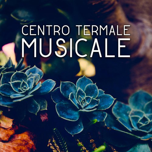 Centri benessere cover art