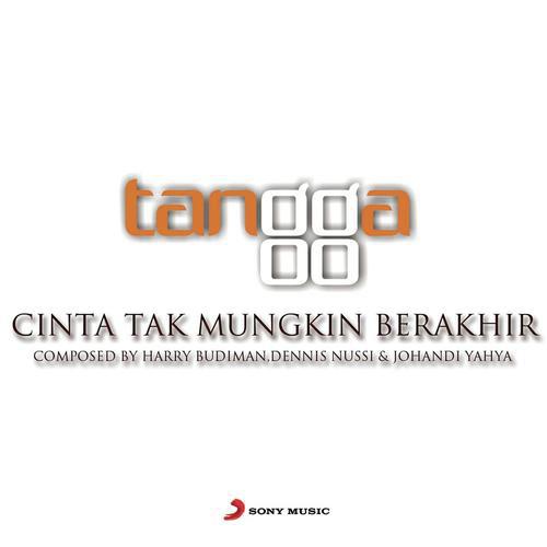 Cinta Tak Mungkin Berhenti_poster_image