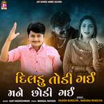 Daladu Todi Gai Mane Chodi Gai