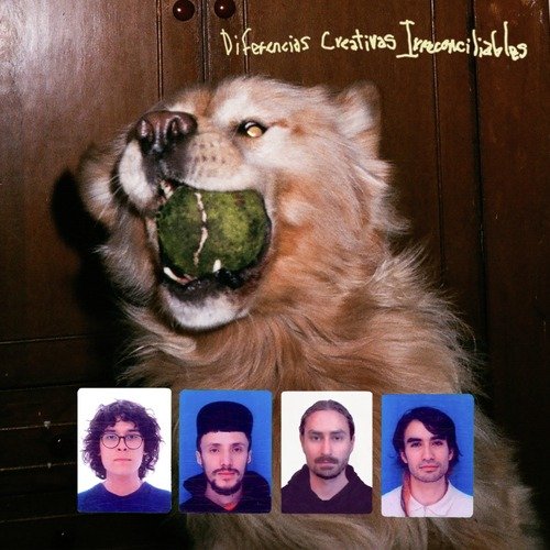 Costa cover art
