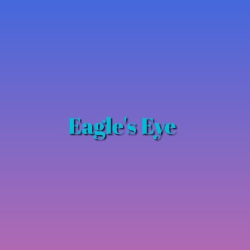 Eagle&#039;s Eye_poster_image