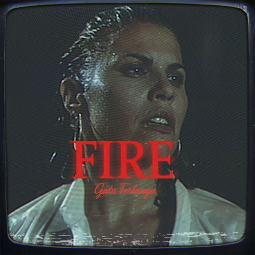 FIRE cover art
