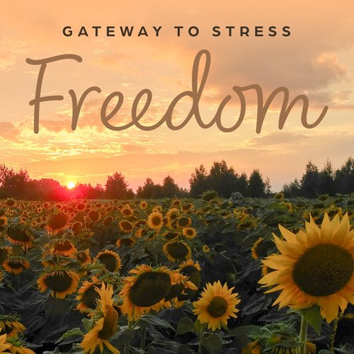 Gateway to Stress Freedom