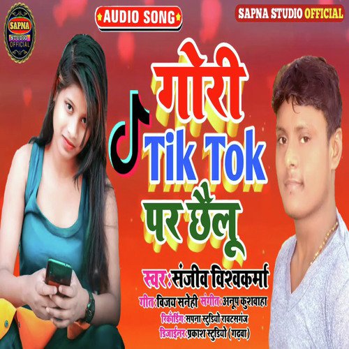 Gori Tik Tok Par Chhailu