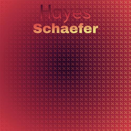 Hayes Schaefer