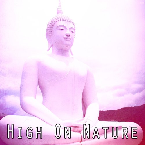 High On Nature