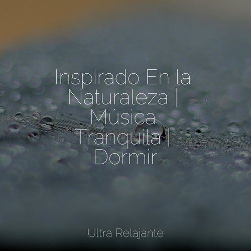 Inspirado En la Naturaleza | Música Tranquila | Dormir_poster_image