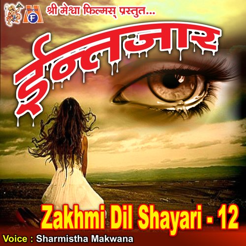 Intezar Zakhmi Dil Shayari, Pt. 12