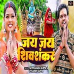 Jai Jai Shiv Shankar