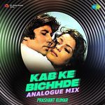 Kab Ke Bichhde - Analogue Mix