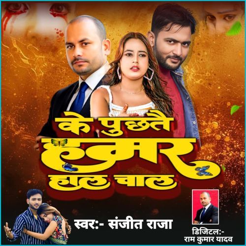 Ke Puchhtai Hamar Haal Chal