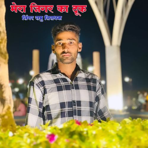 Mera Jigar Ka Took