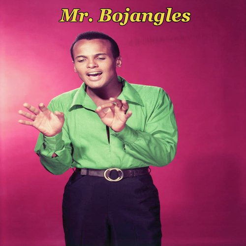 Mr. Bojangles