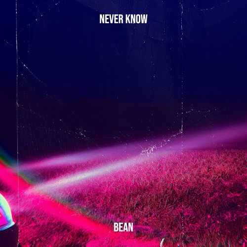 Never Know_poster_image