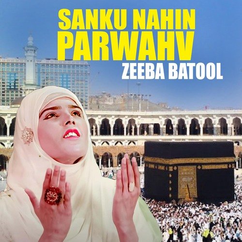 Sanku Nahin Parwah