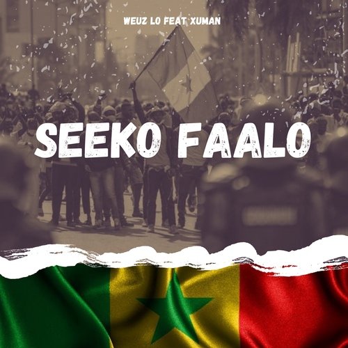 Seeko Faalo_poster_image