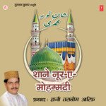 Shane Noor-E-Mohammadi