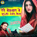 Teri Mohabbat Mein Khud Ko Barbaad Kiya