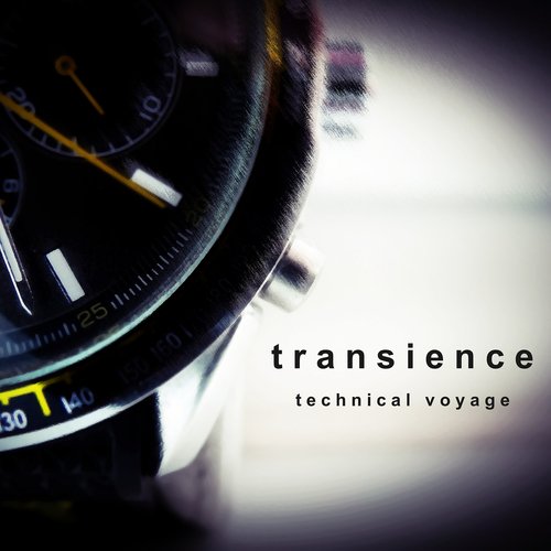 Transience cover art