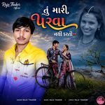 Tu Mari Parva Nathi Karti