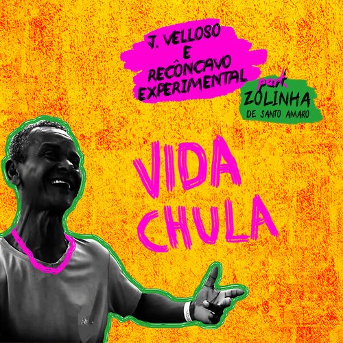 Vida Chula_poster_image