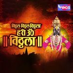Vitthal Vitthal Vitthala Hari Om Vithala