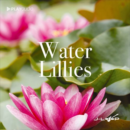 Eric cover art