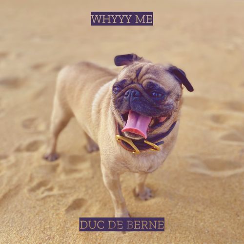 Whyyy Me cover art