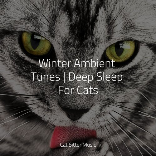 Winter Ambient Tunes | Deep Sleep For Cats