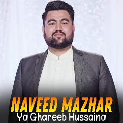 Ya Ghareeb Hussaina-GQwgR0Z2VUo