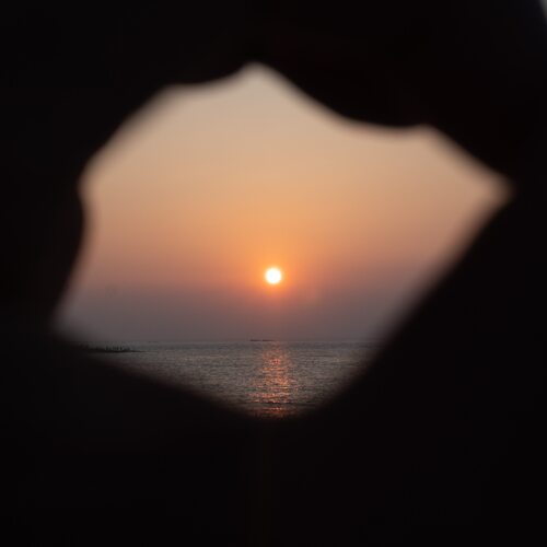 睡眠伴侣 cover art