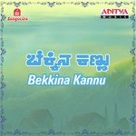 Bekkina Kannu