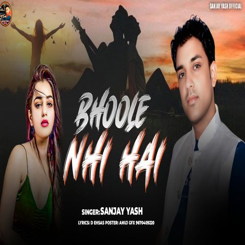 Bhule Nahi Hai