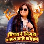 Bigha Ke Bigha Tahra Name Ka Dehab