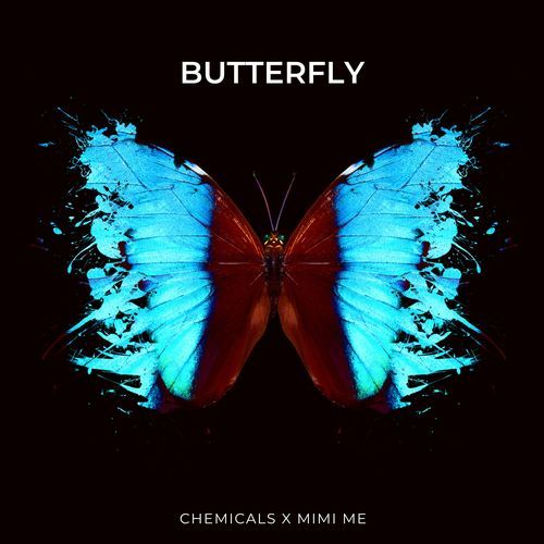 Butterfly (Techno Version)