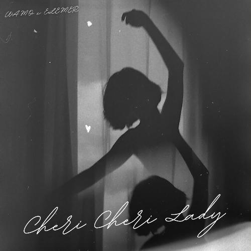 Cheri Cheri Lady (Tech House Version)