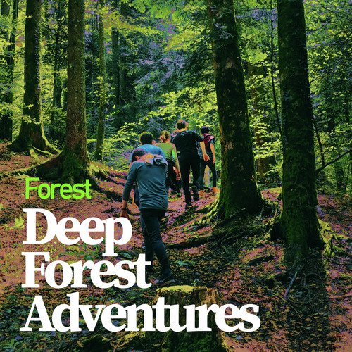 Deep Forest Adventures