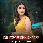 Dil Ko Tukado Rov