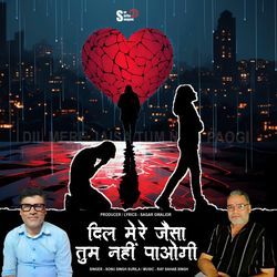 Dil Mere Jaisa Tum Nahi Paoge
