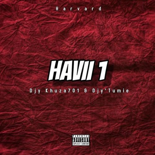 Haviii 1 cover art
