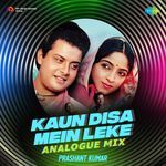 Kaun Disa Mein Leke - Analogue Mix