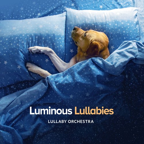 Luminous Lullabies_poster_image