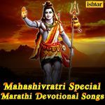 Shree Shankrachi Aarti artwork