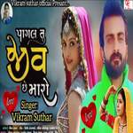 Pagal Tu Jiv Chhe Maro